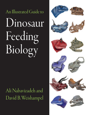 cover image of An Illustrated Guide to Dinosaur Feeding Biology